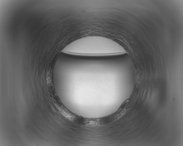 X0000084000285200702160804