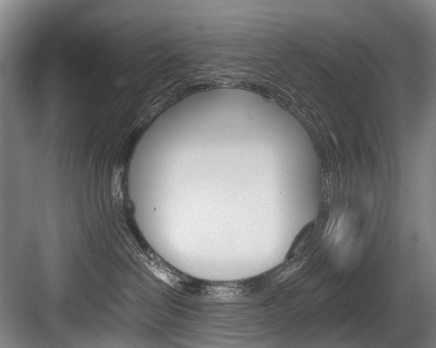 X0000084000286200702160804