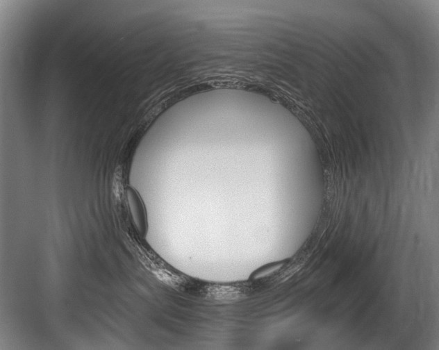 X0000084000287200702160804