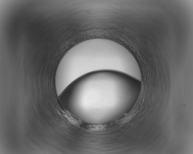 X0000084000288200702160804