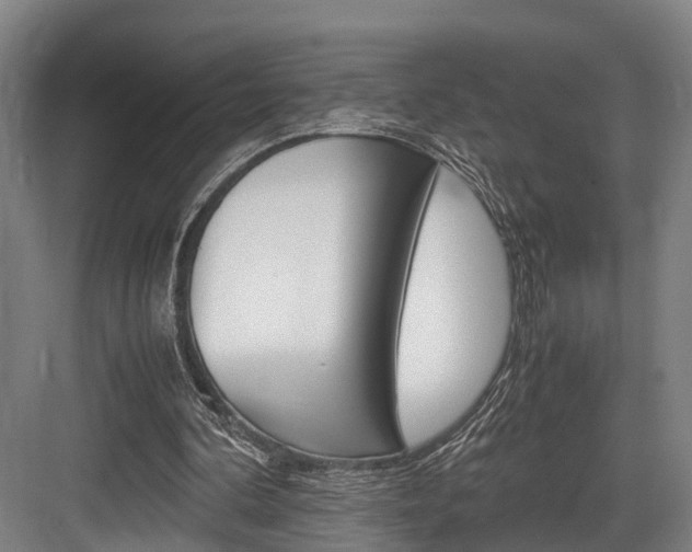 X0000084000292200702160803