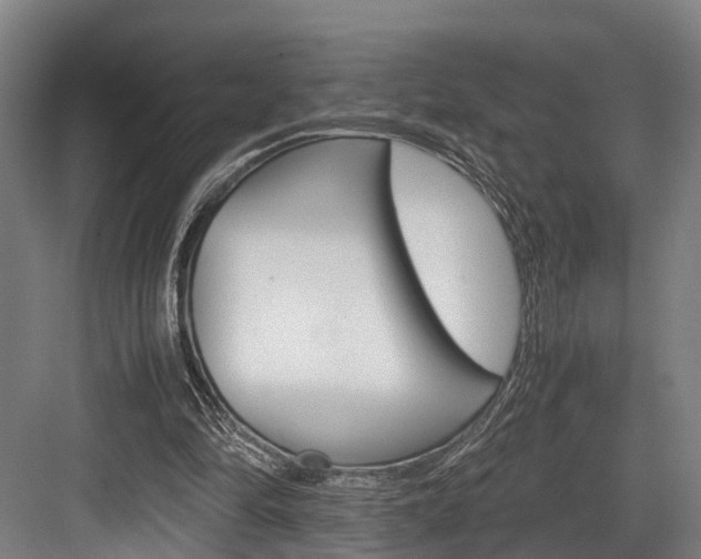 X0000084000294200702160803