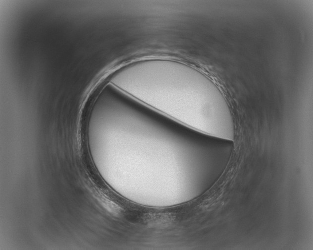 X0000084000296200702160803