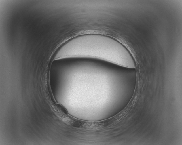X0000084000297200702160803