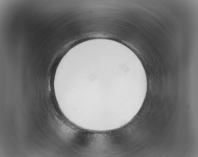 X0000084000302200702160803