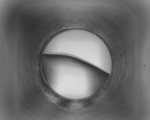 X0000084000303200702160803