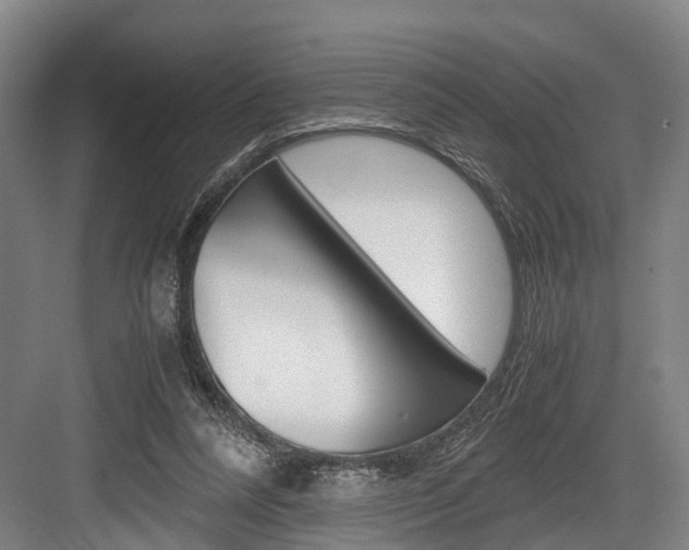 X0000084000304200702160803