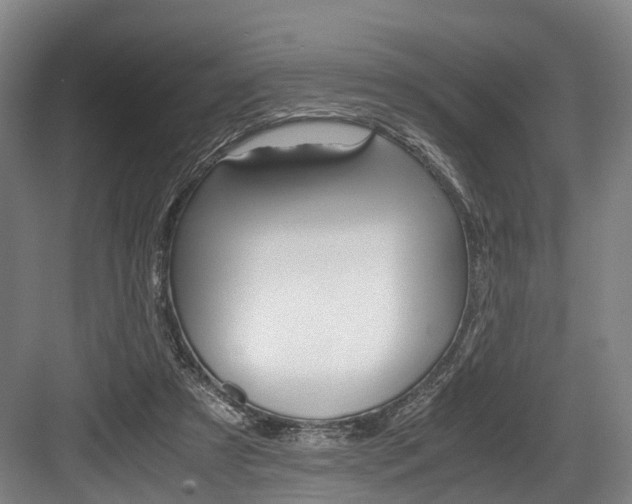 X0000084000305200702160803