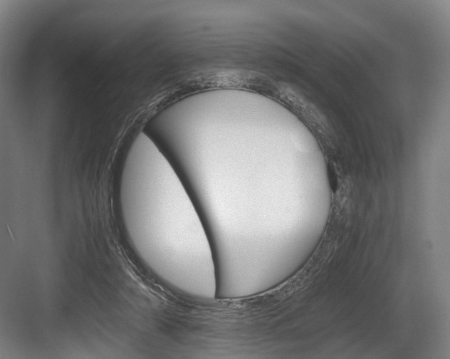 X0000084000306200702160803