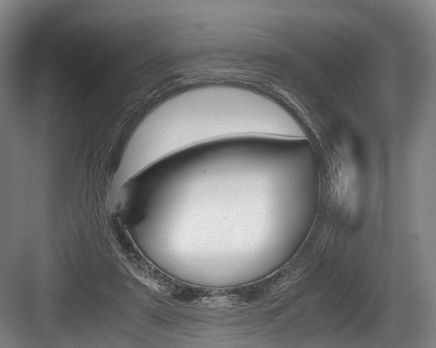 X0000084000307200702160803