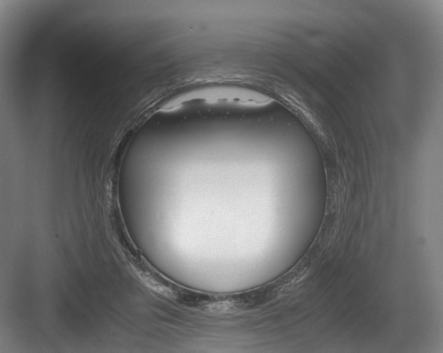 X0000084000309200702160803