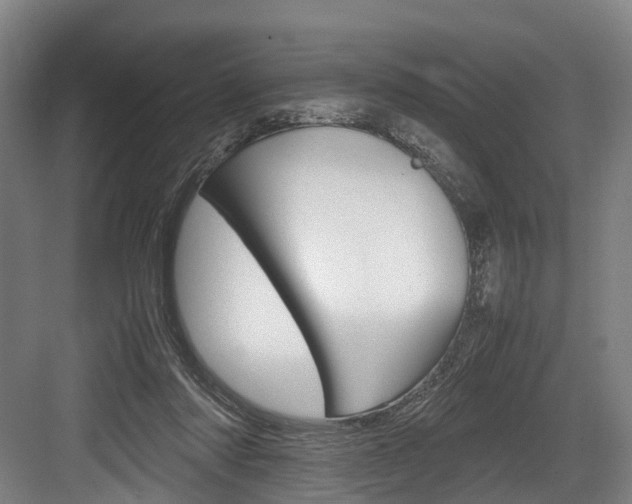 X0000084000310200702160803