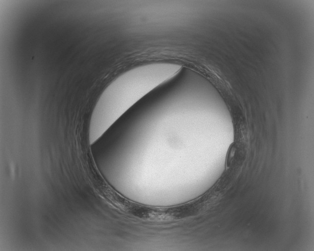 X0000084000311200702160803