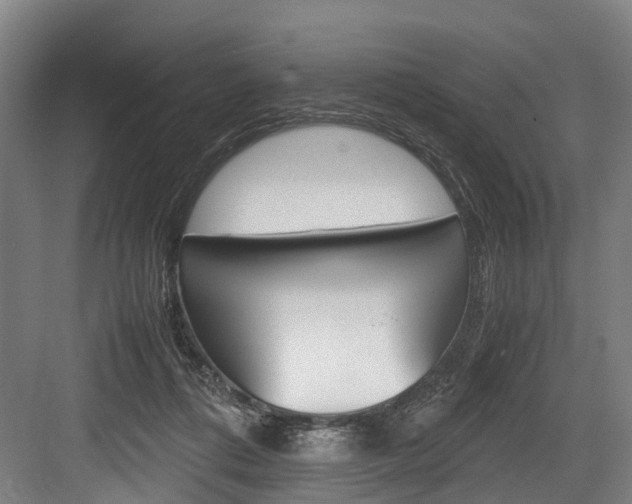 X0000084000312200702160803