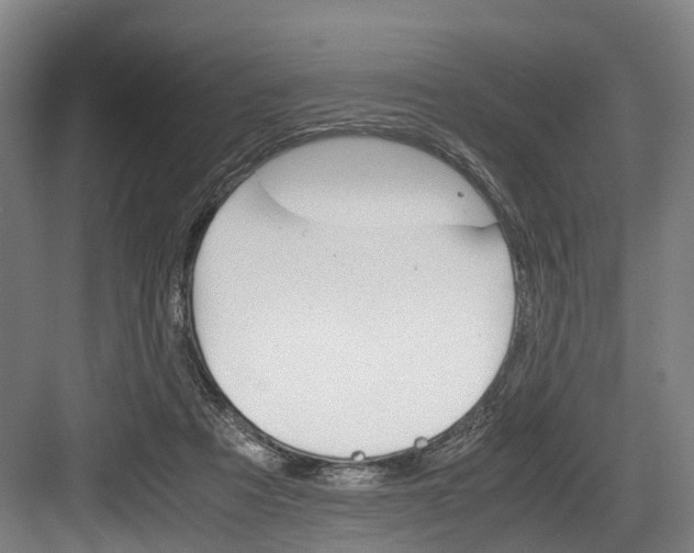 X0000084000313200702160803