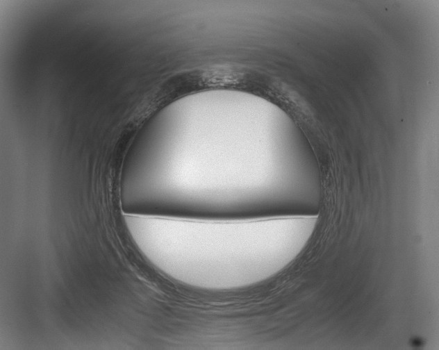 X0000084000315200702160803