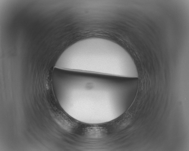 X0000084000316200702160803