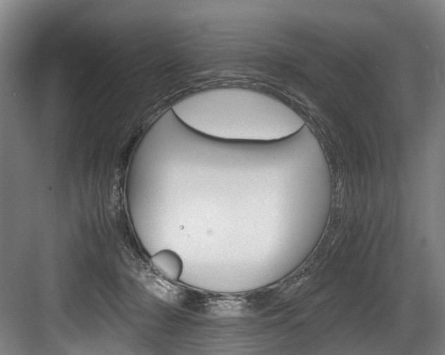 X0000084000318200702160803
