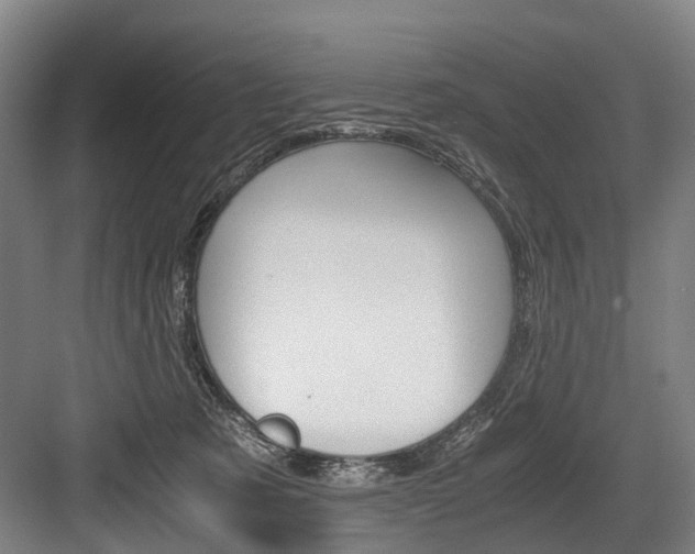 X0000084000321200702160803