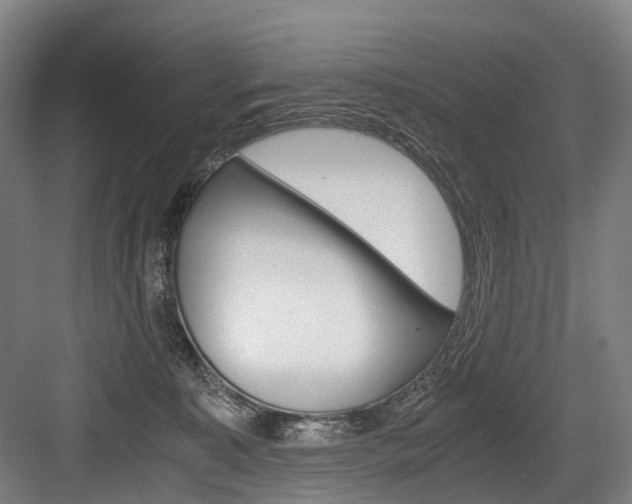 X0000084000323200702160803