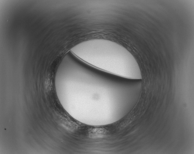 X0000084000324200702160803