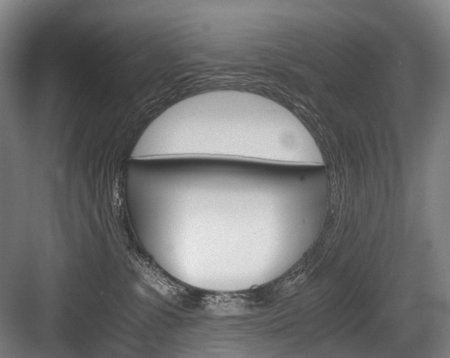 X0000084000331200702160803