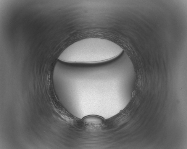 X0000084000332200702160803