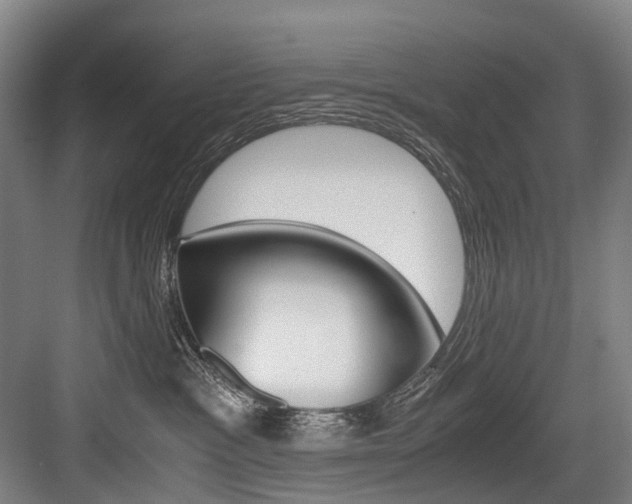 X0000084000333200702160803