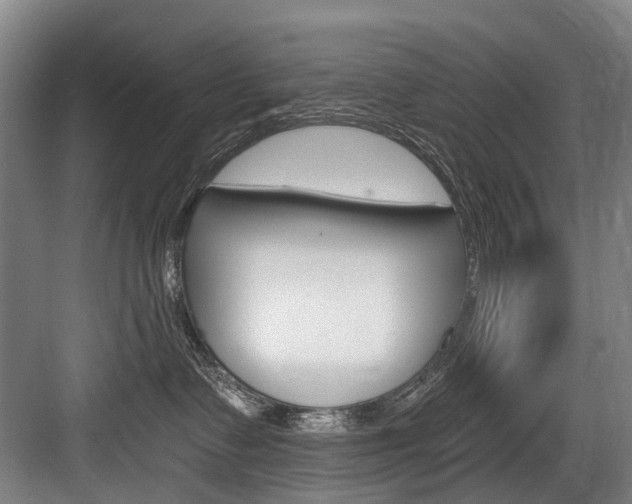 X0000084000335200702160803