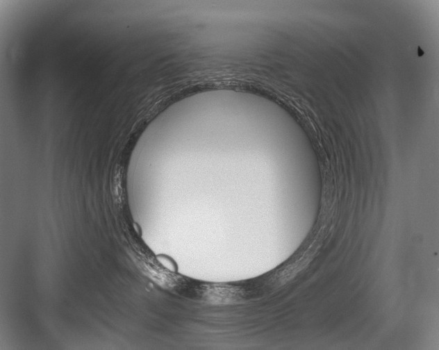 X0000084000336200702160803