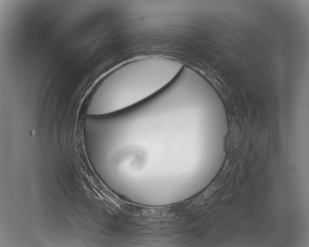 X0000084000338200702160802