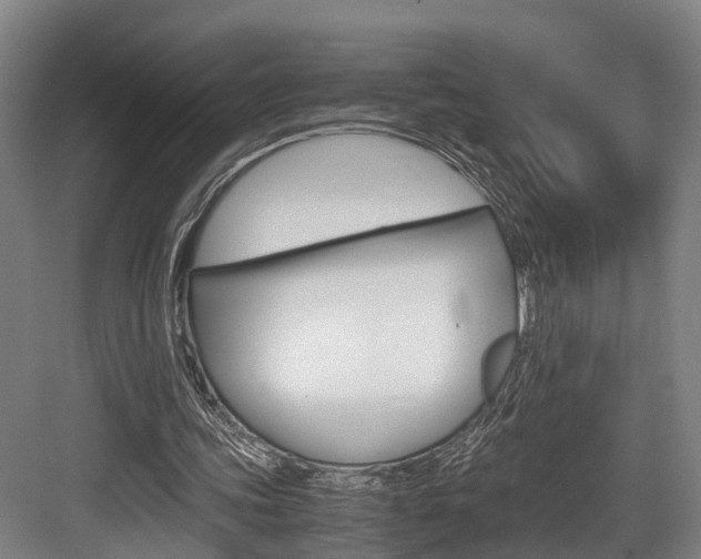 X0000084000339200702160802