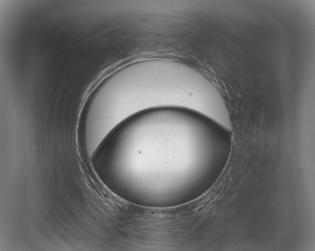 X0000084000340200702160802
