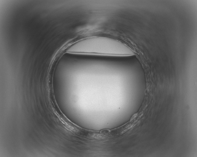 X0000084000341200702160802
