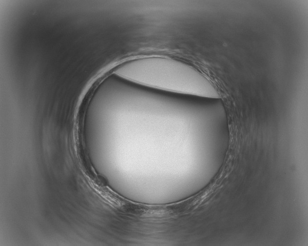 X0000084000342200702160802