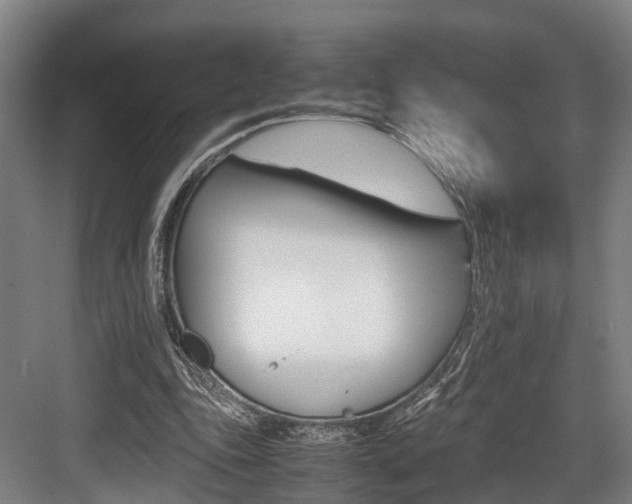X0000084000343200702160802
