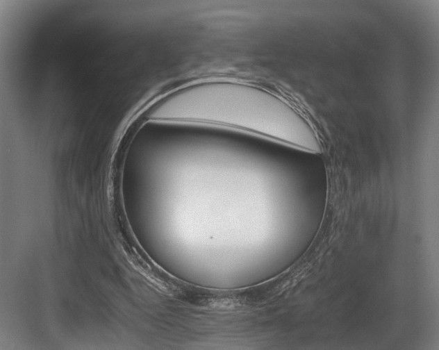 X0000084000344200702160802