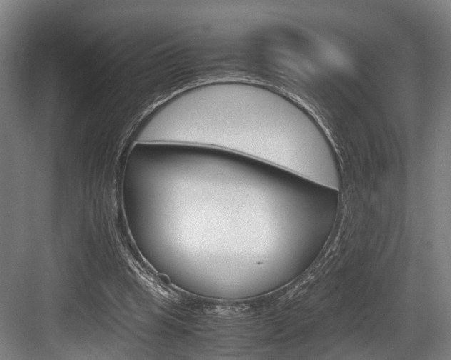 X0000084000345200702160802