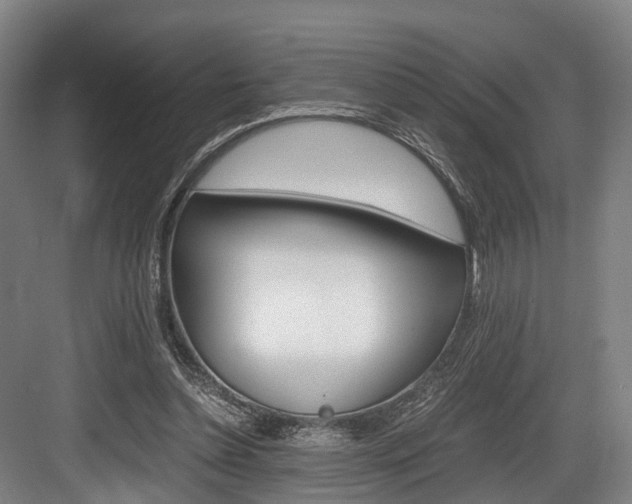 X0000084000348200702160802