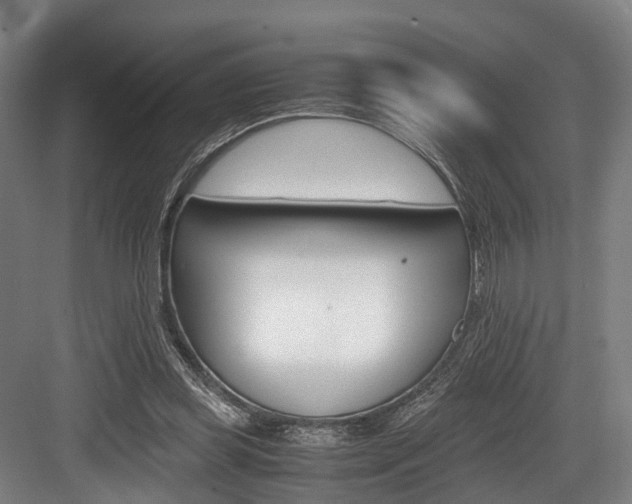 X0000084000349200702160802