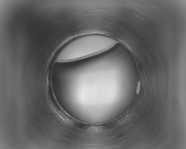 X0000084000350200702160802