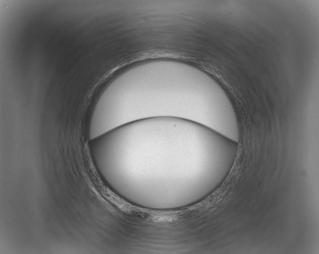 X0000084000352200702160802