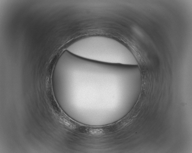 X0000084000355200702160802