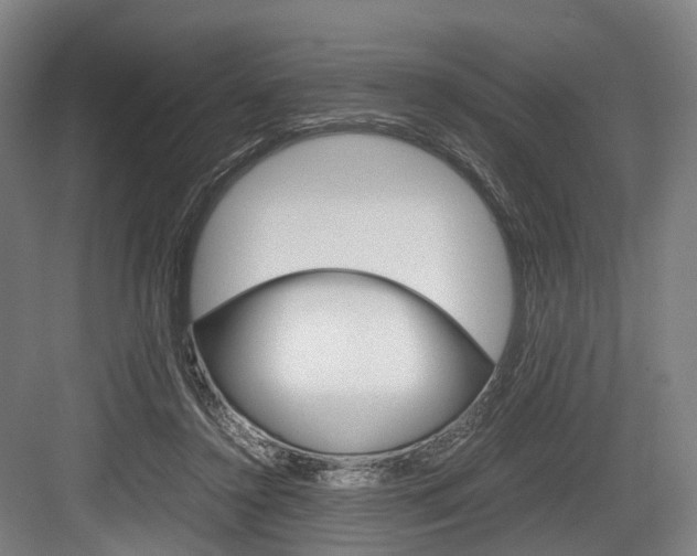 X0000084000356200702160802