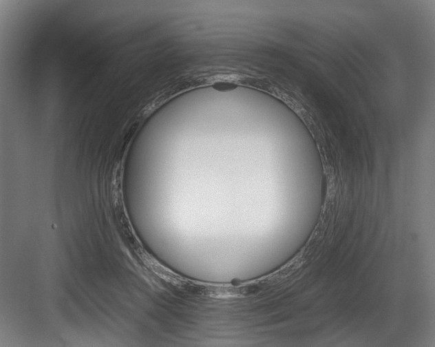 X0000084000360200702160802