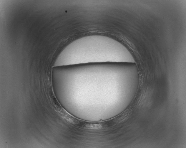 X0000084000361200702160802
