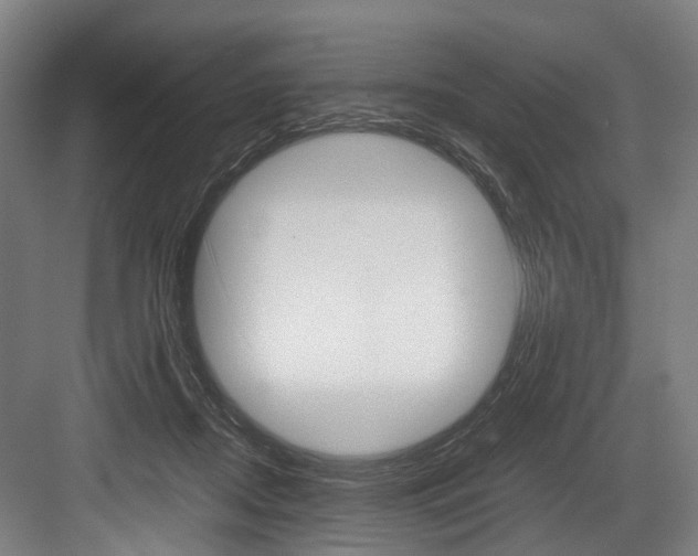 X0000084000362200702160802