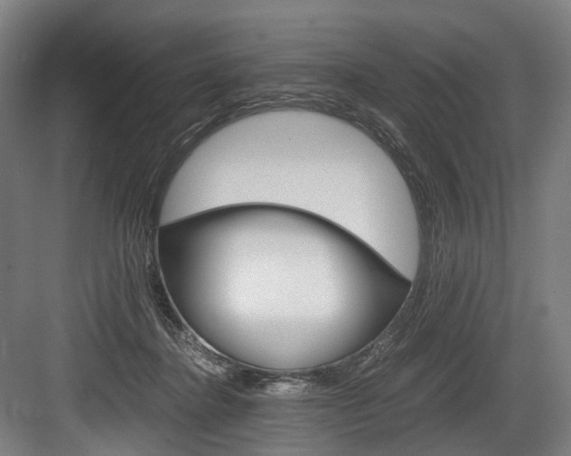 X0000084000364200702160802