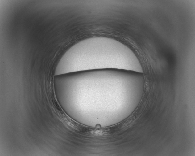 X0000084000365200702160802