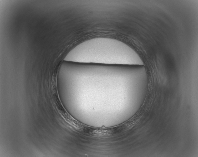 X0000084000367200702160802